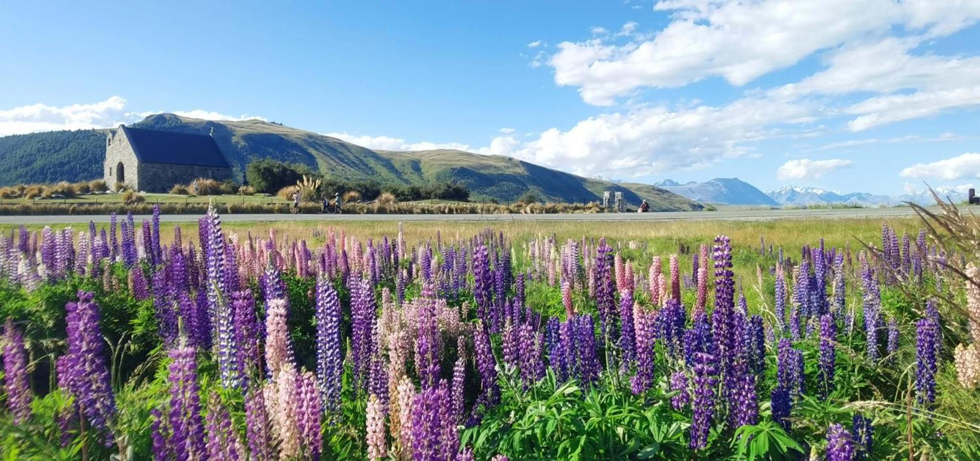 37 Galaxy A Lejlighed Lake Tekapo Eksteriør billede